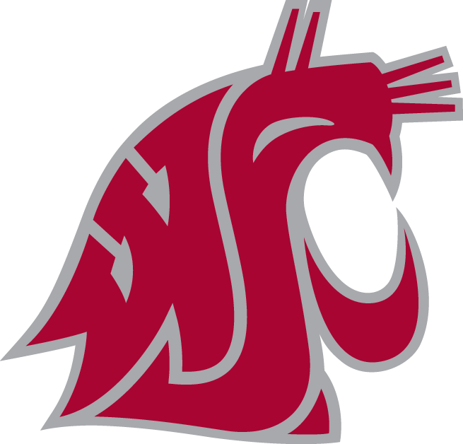 Washington State Cougars 1995-Pres Alternate Logo v5 DIY iron on transfer (heat transfer)